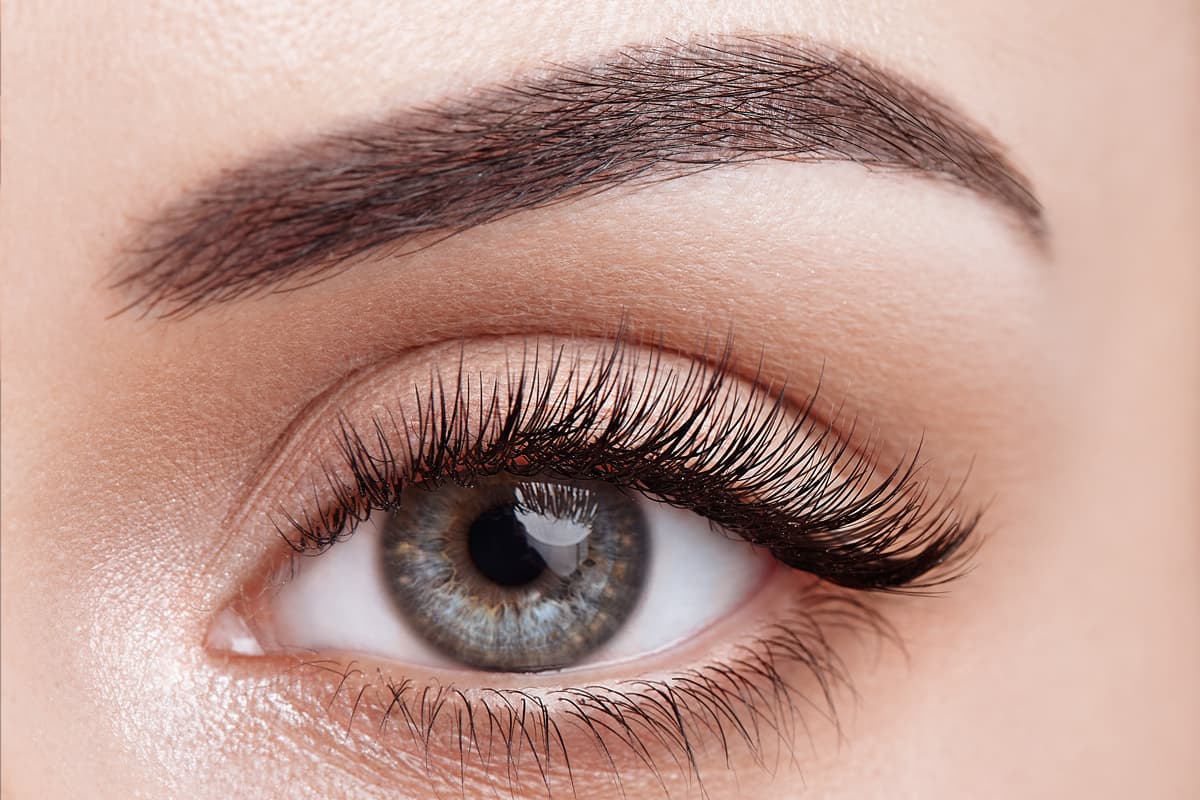 Cejas y pestañas